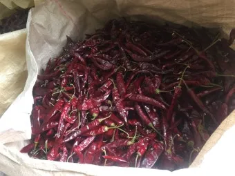 영양 고추 가격 시세 10근가격 현재 농산물 시세_19