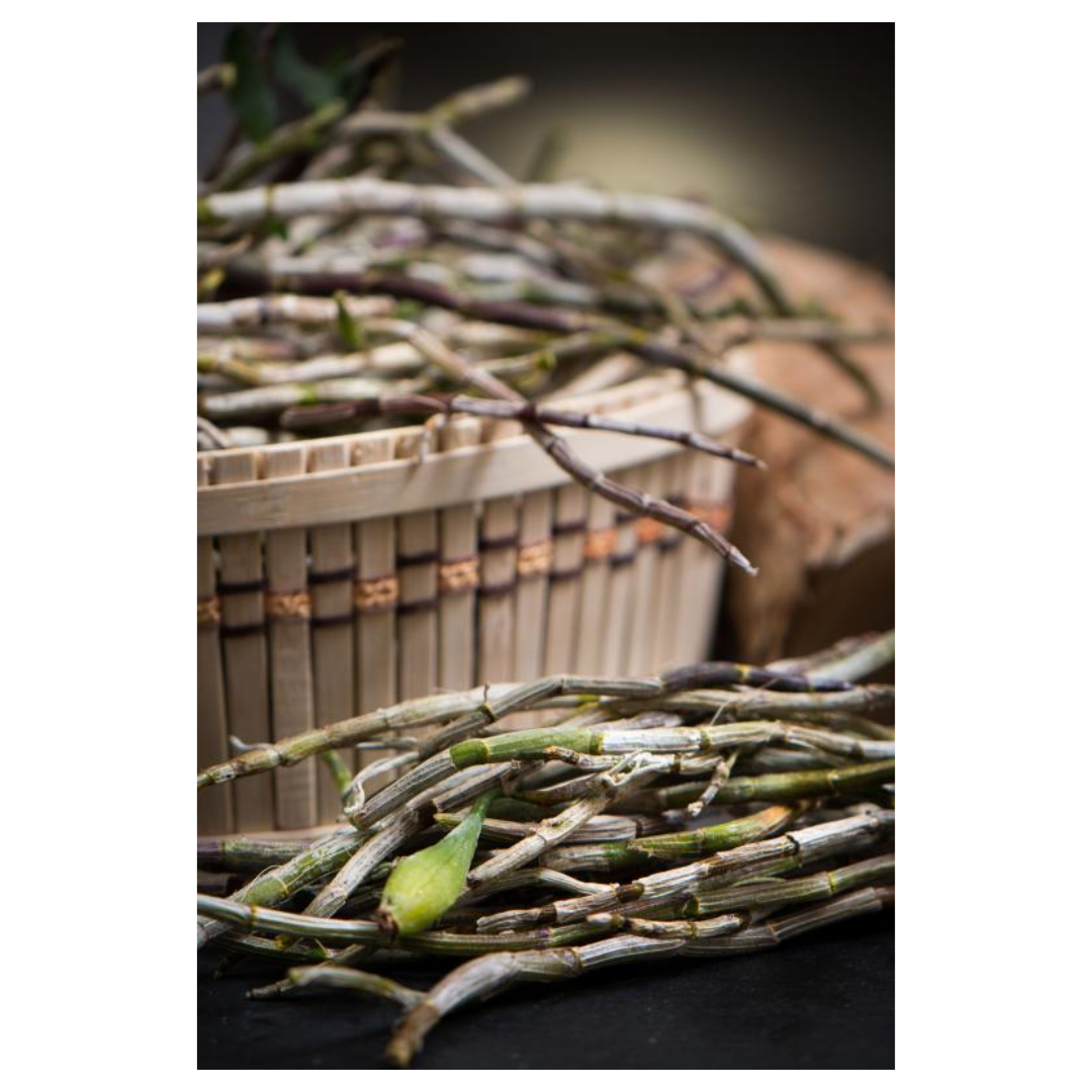 경옥고와 관련된 사진입니다.