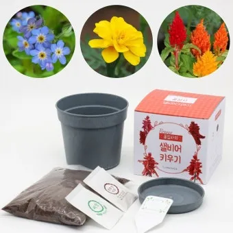 아이 있는 집 식물선택 가시없는종류 배치높이 관리 요령_11