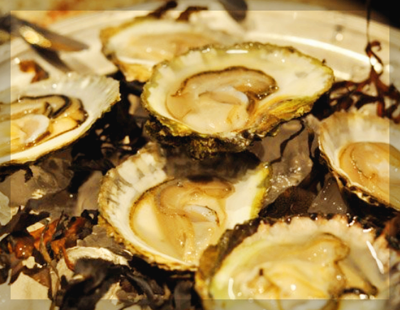 생굴 효능과 먹는시기&amp;#44; 제철&amp;#44; 씻는 방법&amp;#44; 조리법 