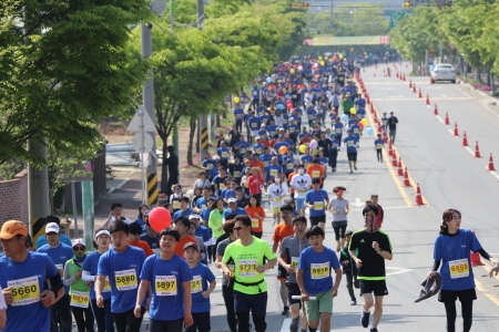 보성-녹차-마라톤