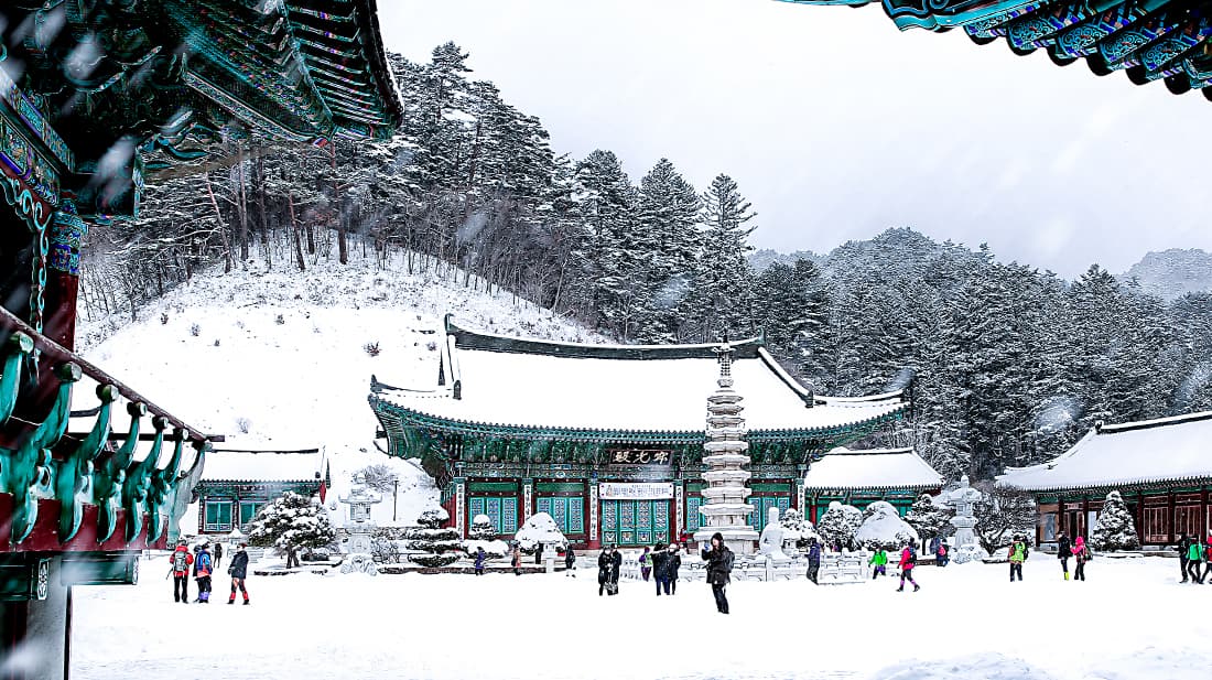 월정사 겨울 전경