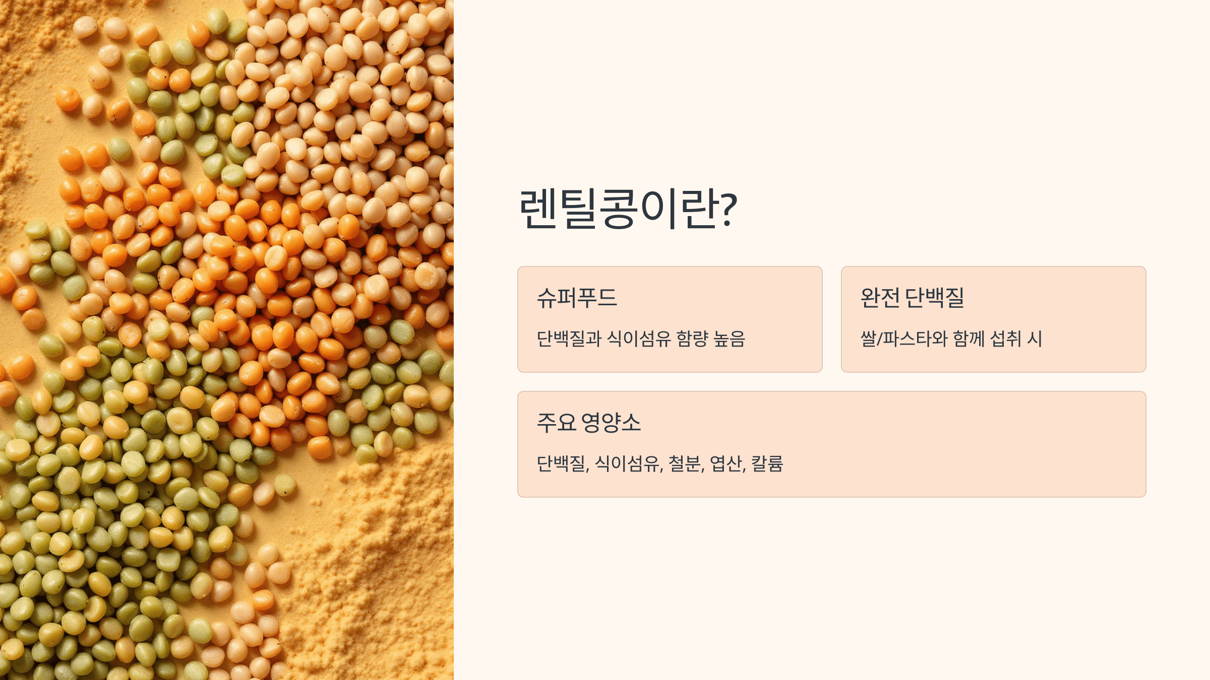 렌틸콩 사진입니다.