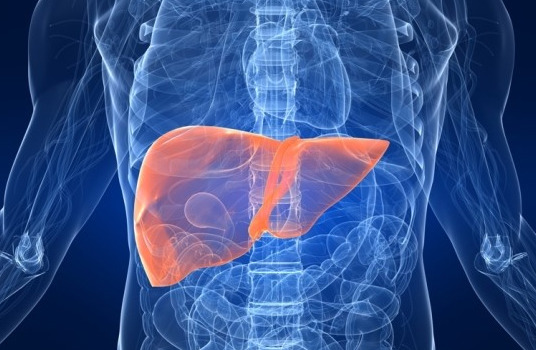 간해독에 좋은 음식