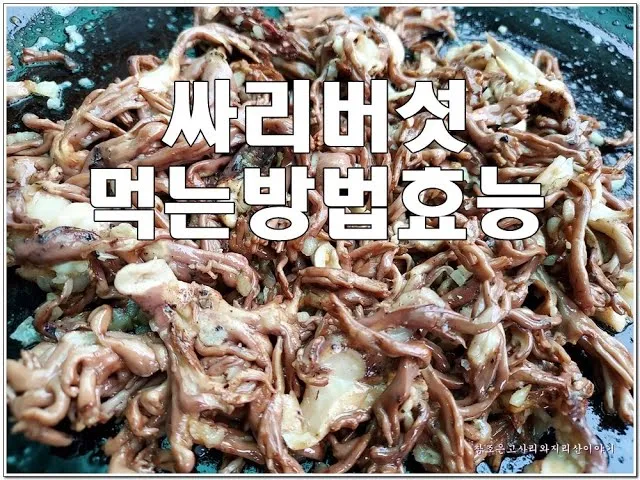 &amp;quot;싸리버섯