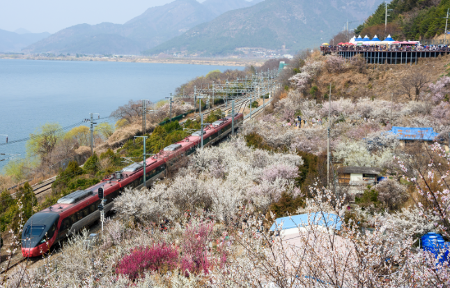양산 정착 현실 가이드 — 부산 생활권과 자연환경을 함께 누리는 도시에서 실제로 살아보기