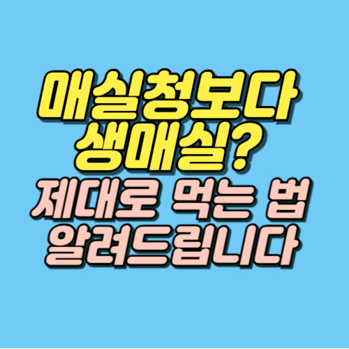 매실 효능 부작용