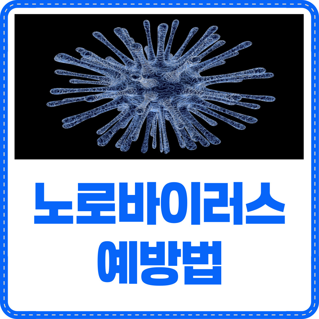 노로바이러스