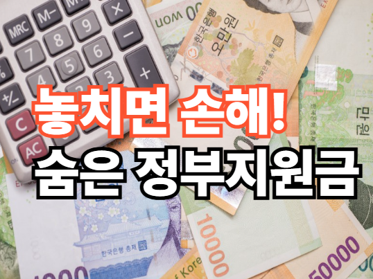 숨은정부지원금