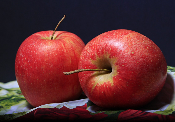 강아지-설사할때-좋은음식-사과