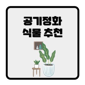 공기정화식물
