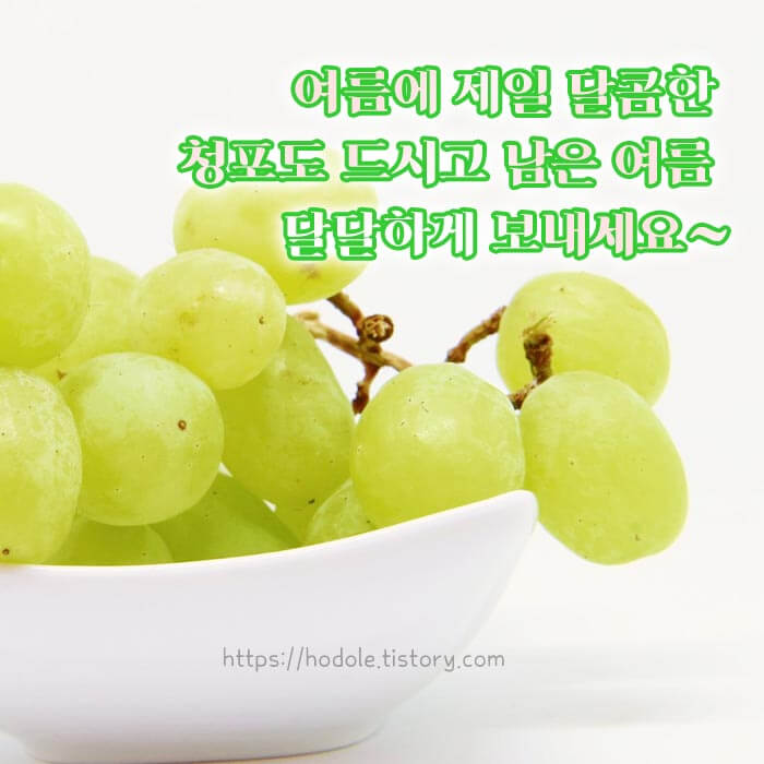 8월 모임 인사말