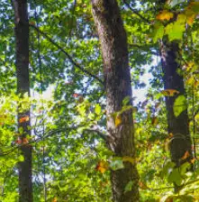 가을 단풍 구경 BEST 5 &mdash; 2025년 놓치면 아쉬울 국내 명소