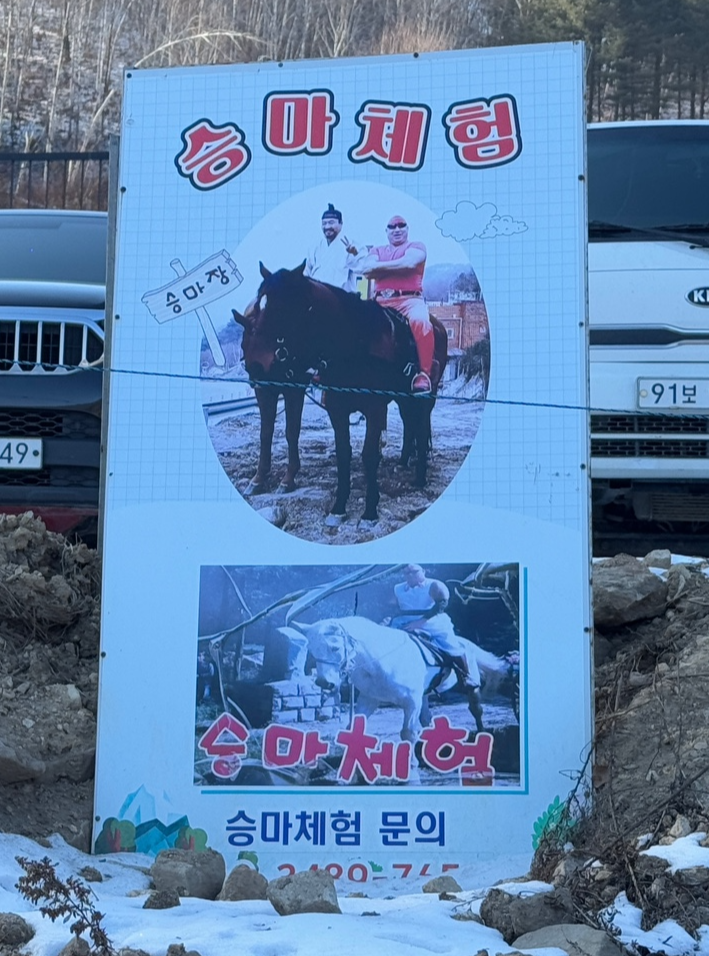 인제 자작나무숲