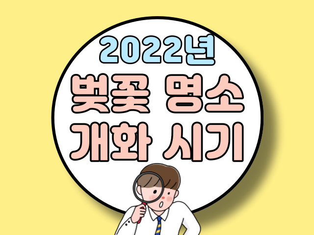 2022년 벚꽃 명소 및 개화시기