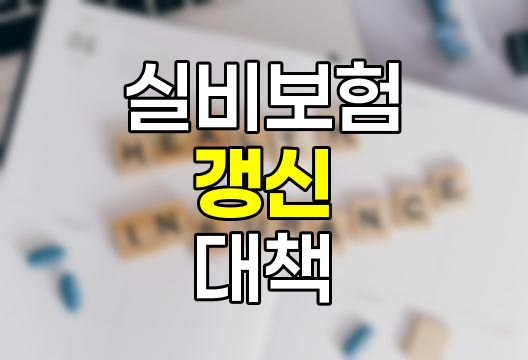실비보험 갱신 충격 완화 전략