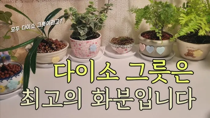 다이소 화분 활용 배수구멍 만들기 받침 사용 흙선택 예산절약 팁_7