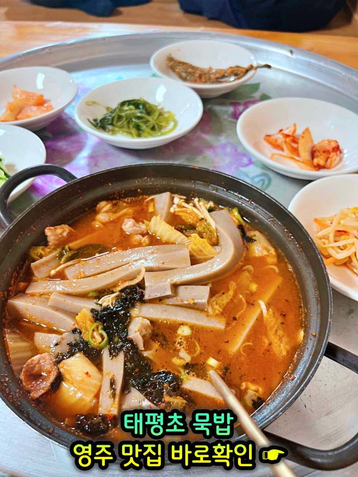 6시 내고향 경북 영주 메밀묵 돼지고기 얼큰 양념 찌개 태평초 맛집