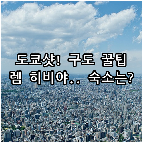 도쿄 히비야 광장 사진 촬영 베스트 ..