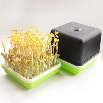 콩나물 재배 콩 불리기 온도 유지 깨끗한 세척_3