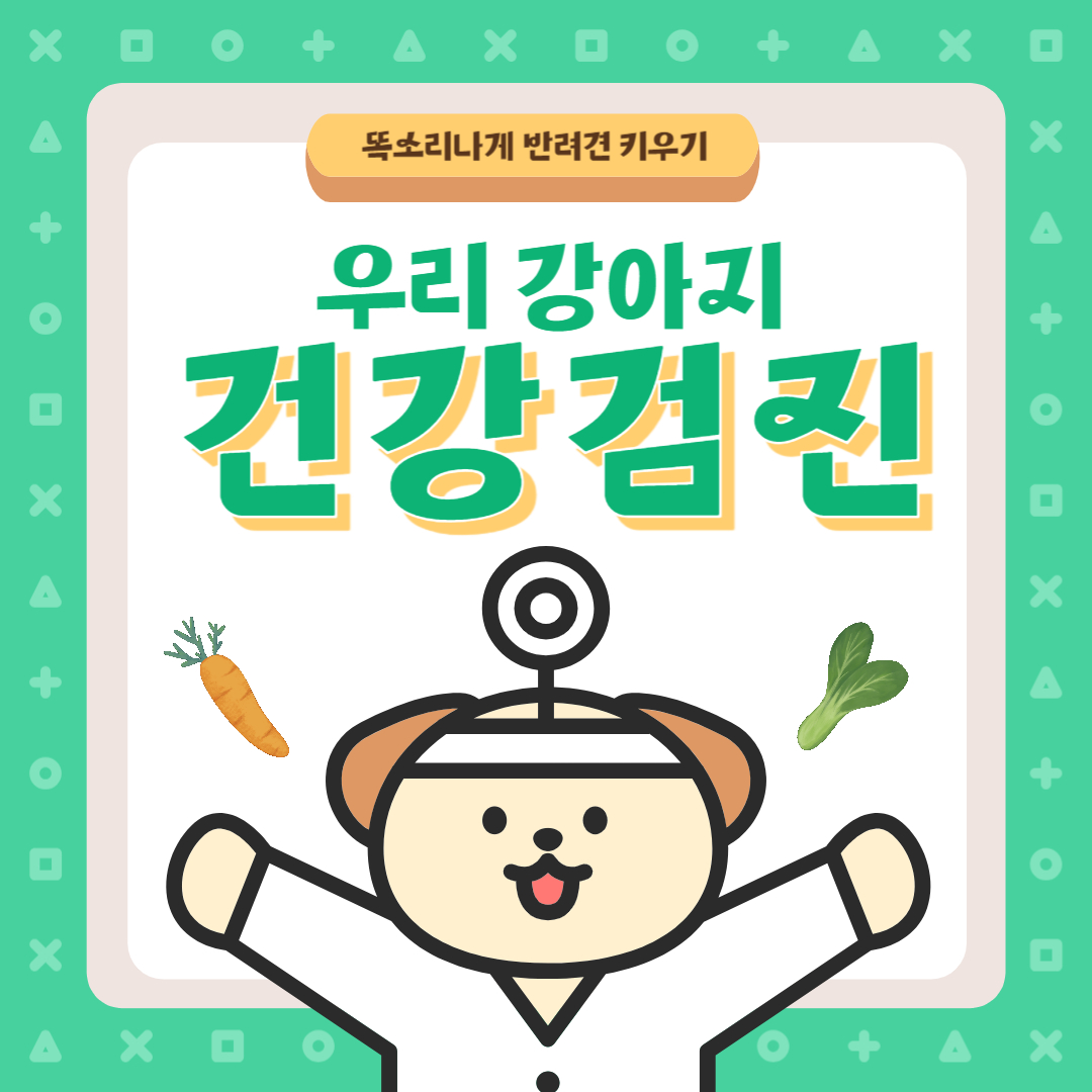 강아지 건강검진 필요성 비용 검진항목 주기