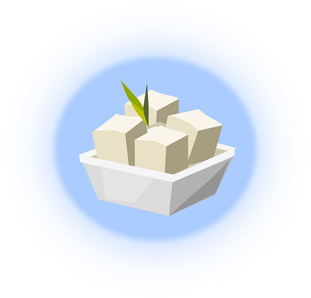 두부 관련 사진