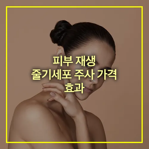 피부 재생 줄기세포 주사 효과