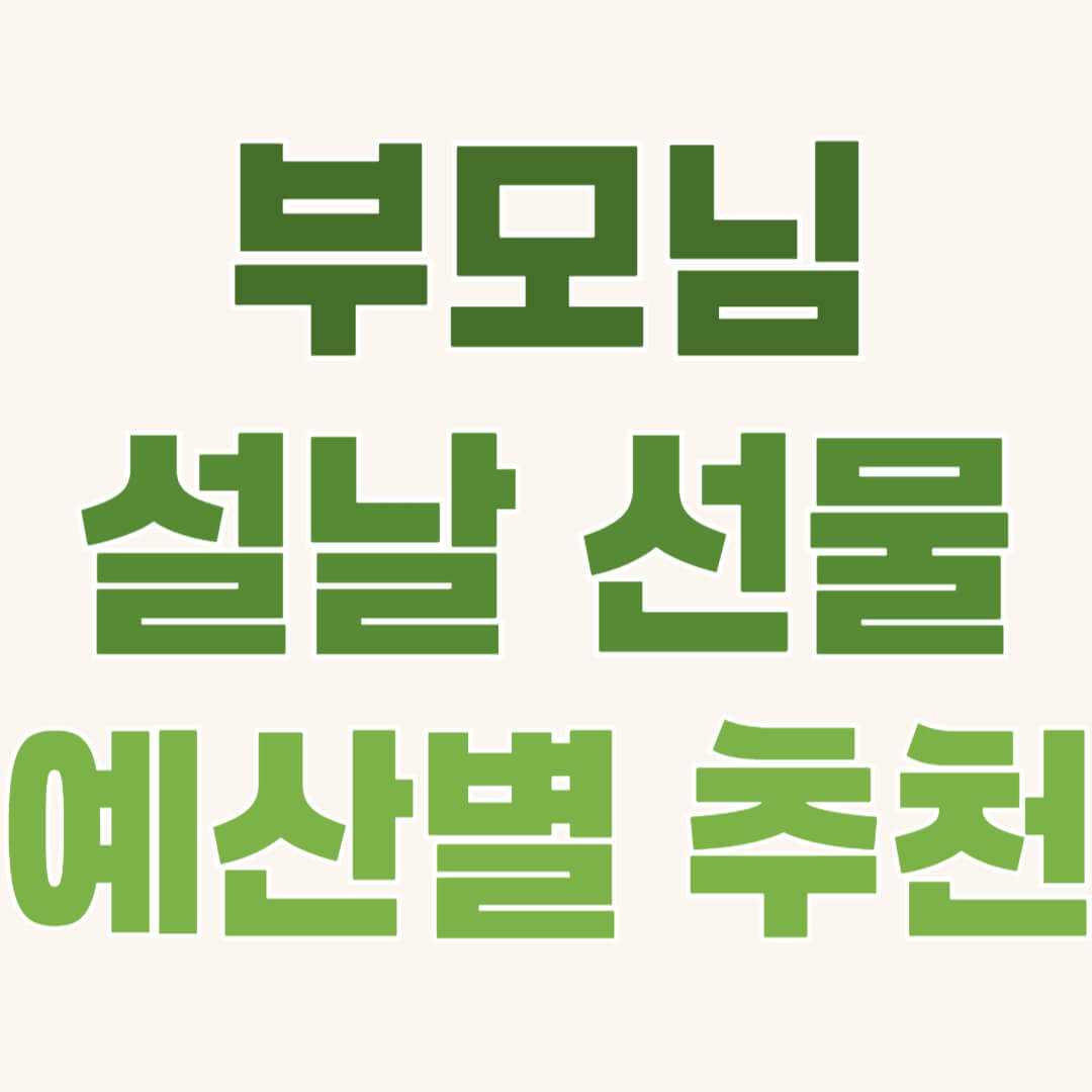설날 부모님 선물 추천, 예산별 부모님 선물 추천