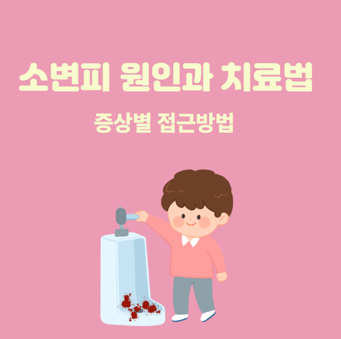 소변피 원인과 치료법 총정리: 증상별 접근 방법
