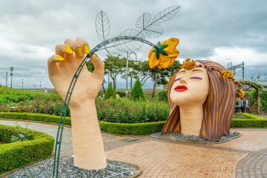 곡성 세계장미축체