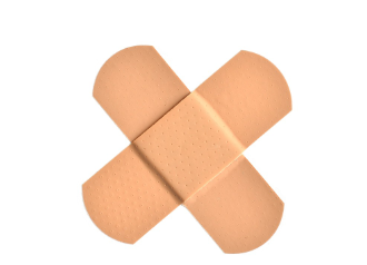 프로폴리스 효능