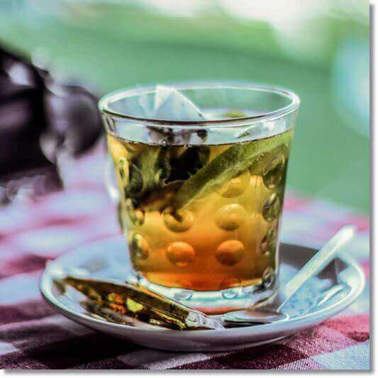 녹나무 차 우리기