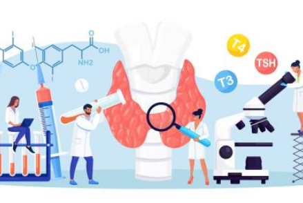 갑상선 기능 저하증 증상, 좋은음식, 수치 총정리 (2024ver)