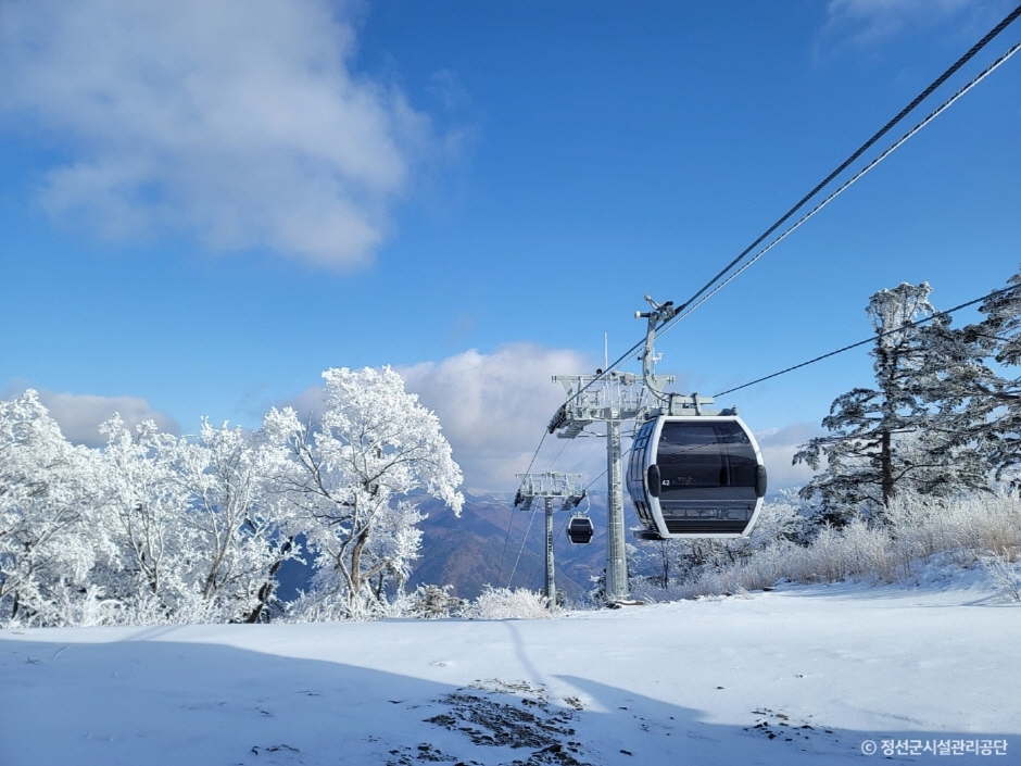 정선 가볼만한곳 베스트10