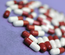 비타민A의 효능 영양제 선택