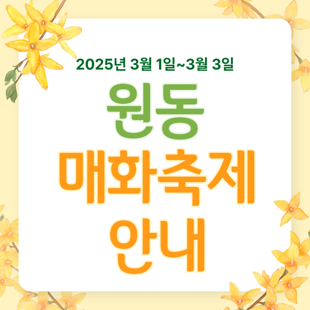 원동 매화축제 안내 2025년