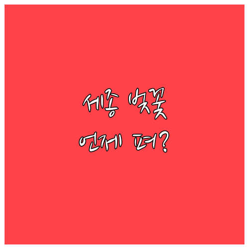 세종 벚꽃 개화 시기 분석 조천변 호..