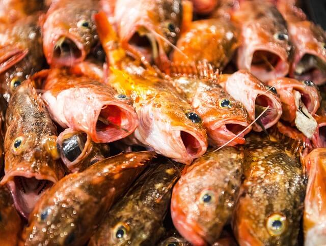 수산대전 상품권 구매