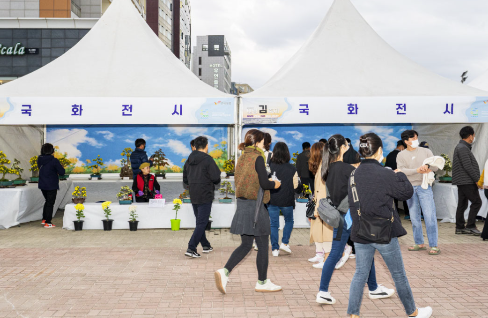 보령김, 멸치 홍보관(사진 및 제품 전시 등)