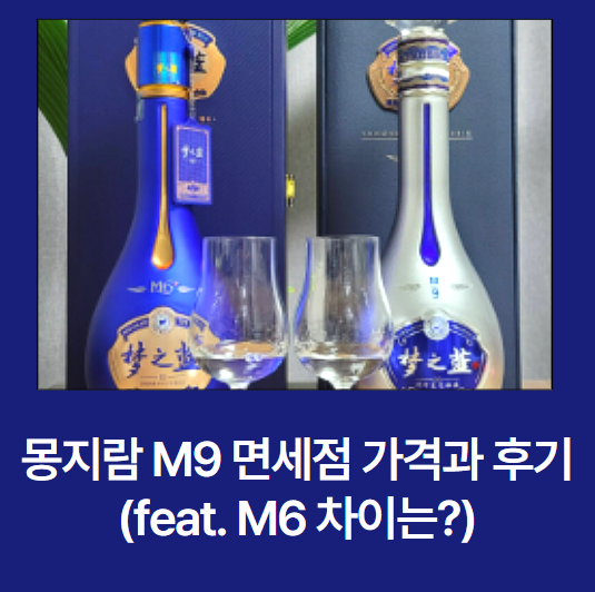 몽지람 M9