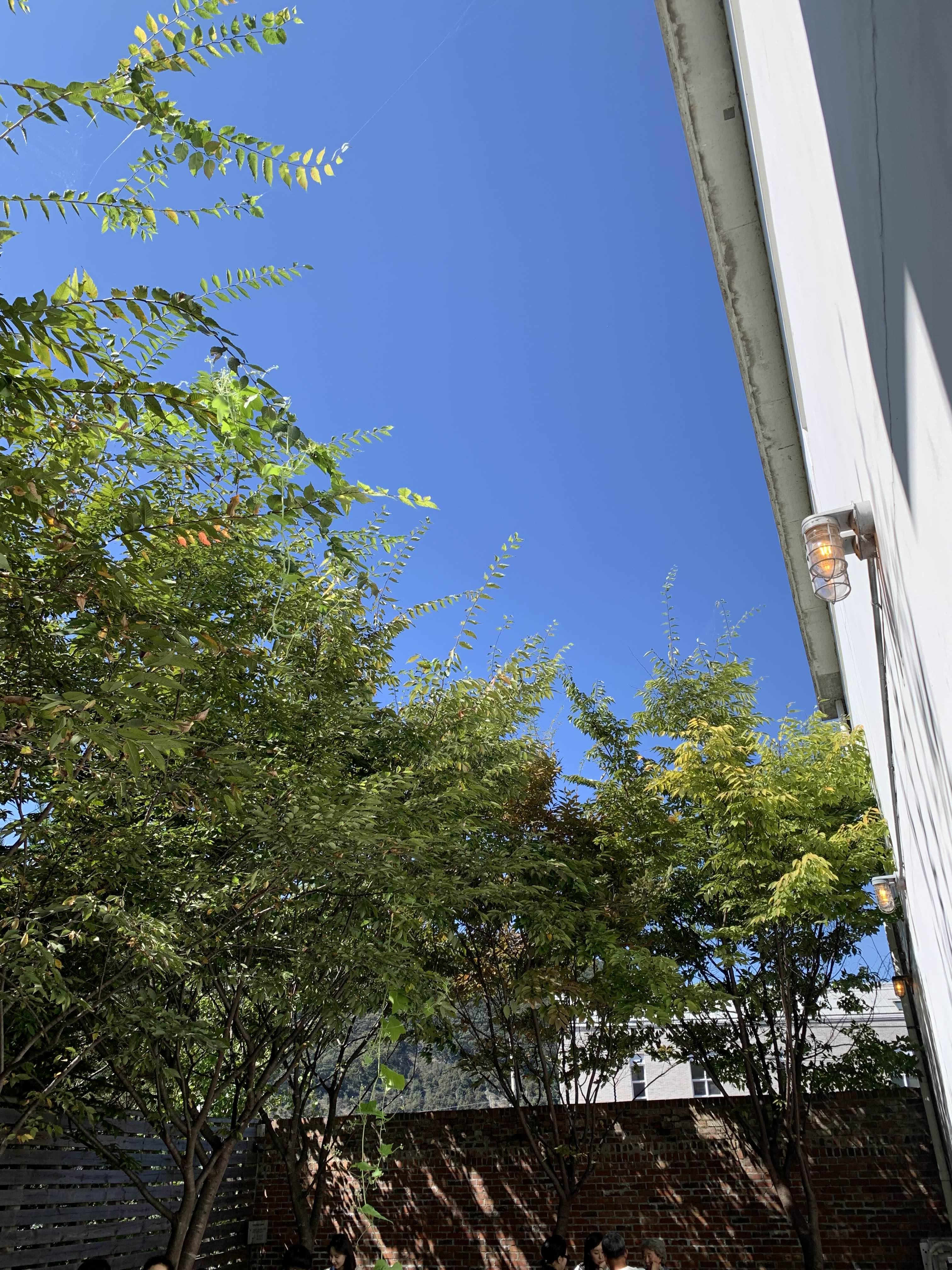 양평 카페 추천