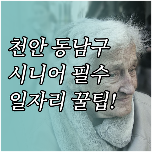 천안 동남구 어르신 일자리 정보 및 ..