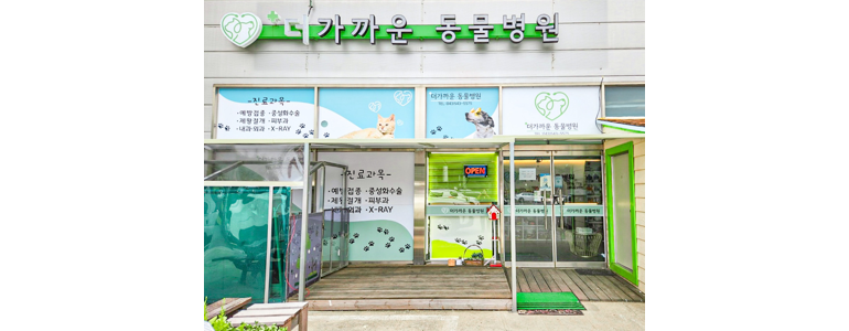 보은군 근처 동물병원 추천 정보 | 24시간 잘하는곳 고양이 강아지 중성화 수술 애견 가격 비용 금액 후기 -
더가까운동물병원
보은군 동물병원