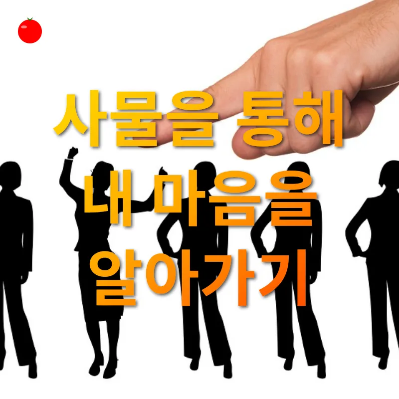 분류와 기준_1