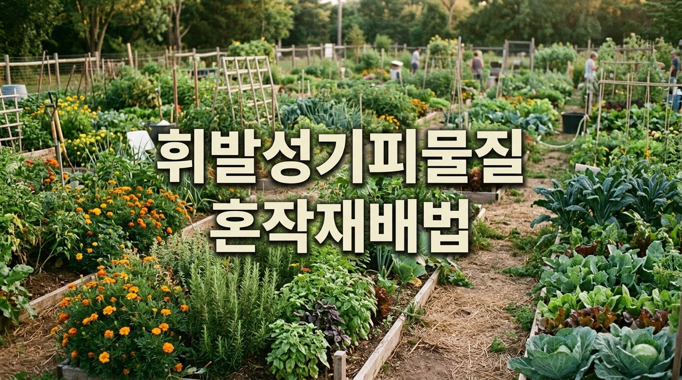 휘발성 기피 물질 혼작 재배법