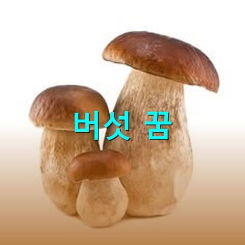 삼겹살에-같이-먹으면-더욱-맛있는-양송이버섯