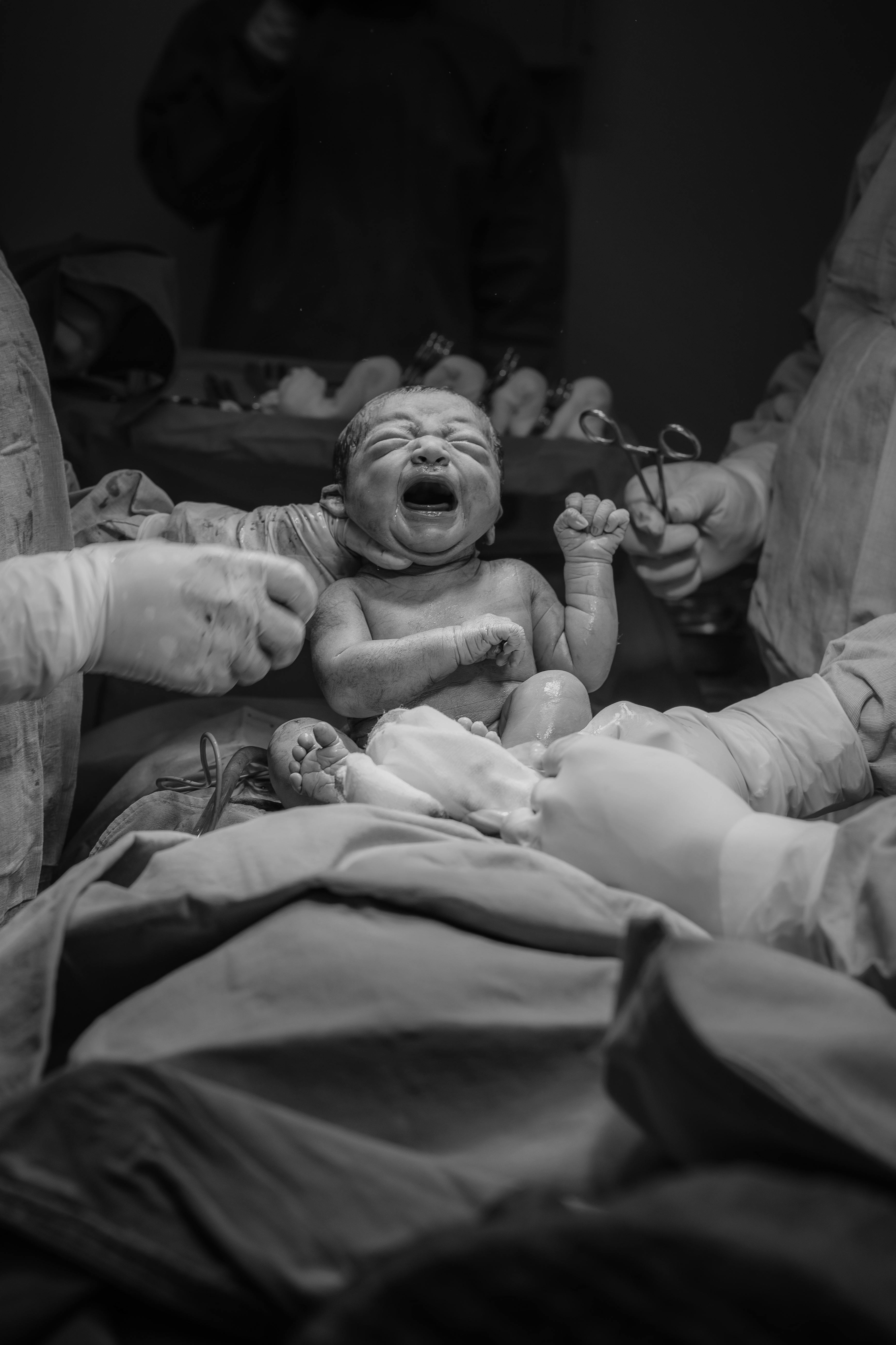 이제 막 세상에 나온 아기