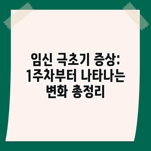 임신 극초기 증상: 1주차부터 나타나는 변화 총정리