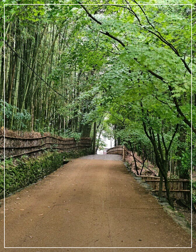 담양 가볼만한곳 베스트10 소쇄원