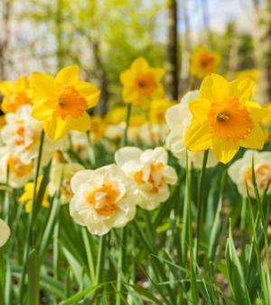 추천 산책 코스